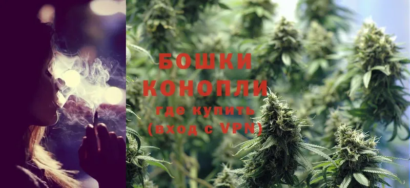 Шишки марихуана White Widow  Новомосковск 